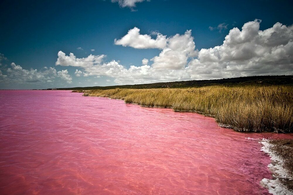 Сенегальское розовое озеро Ретба