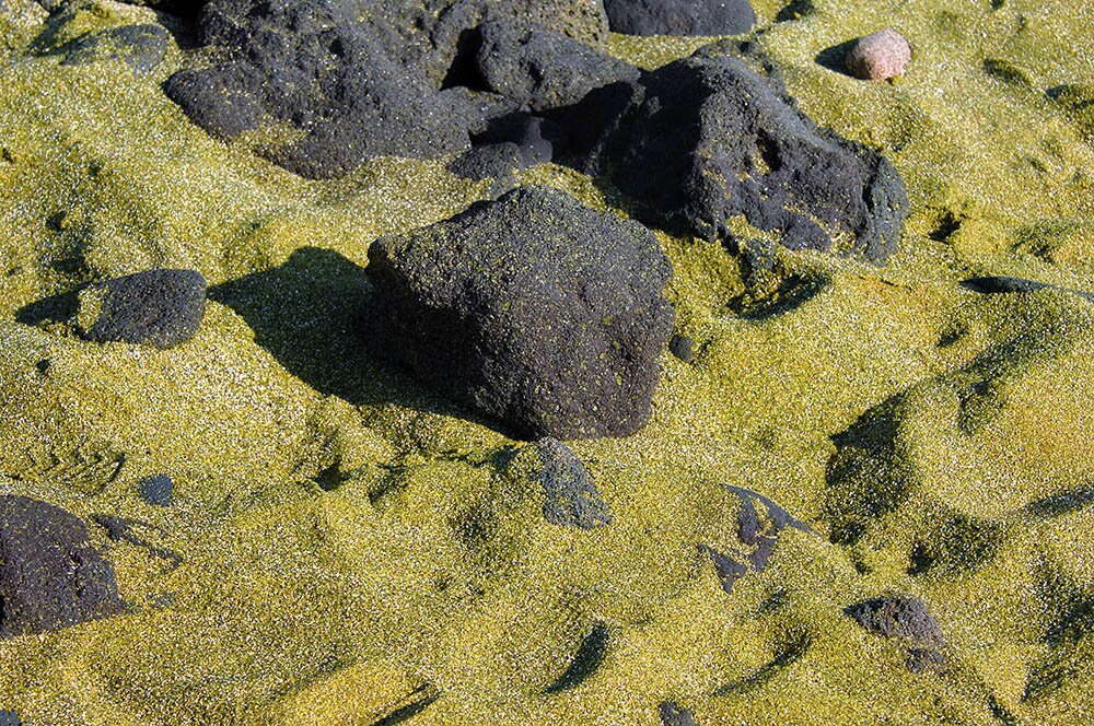 Вулканический туф и зелёный песок гавайского пляжа Папаколеа